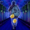 BITCOIN STEALER FULL SOFTWARE AND VIDEO TUTORIAL for sale