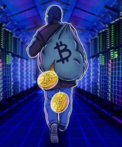 BITCOIN STEALER FULL SOFTWARE AND VIDEO TUTORIAL for sale