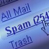 How to Spam CC details full course